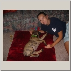 Lilly and Clint's from Bridget and Ryan Earl aka Willie 508 July 12 1.JPG